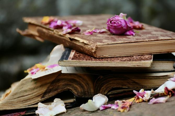 Libri e fiori