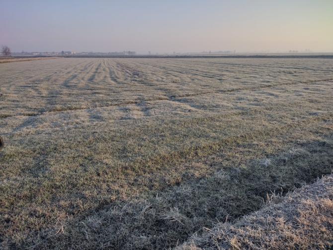 Siccità: "Patiranno di più i campi lontani dai corsi d'acqua"