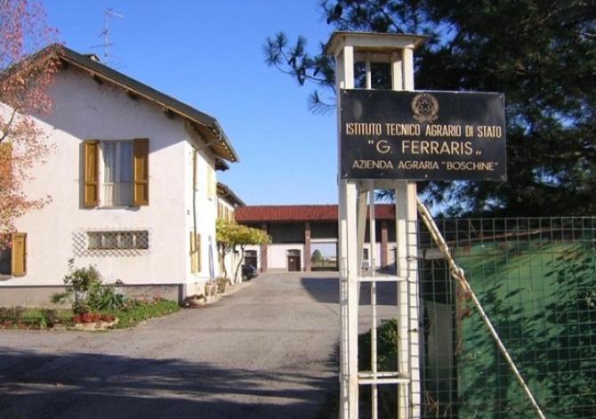 Azienda agricola Boschine