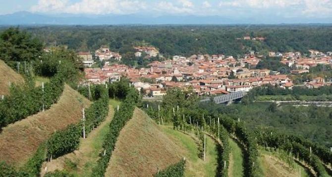Gattinara