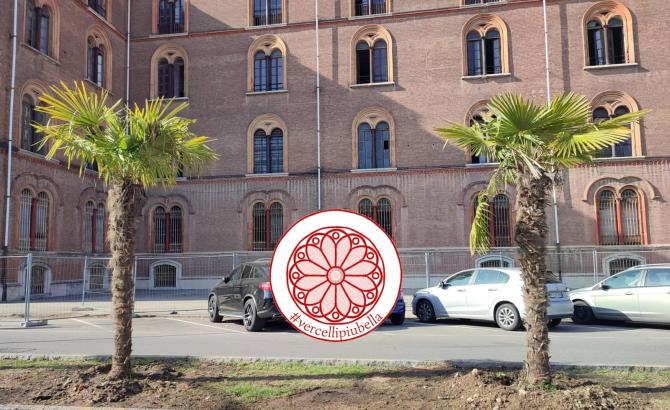 Palme Garrone