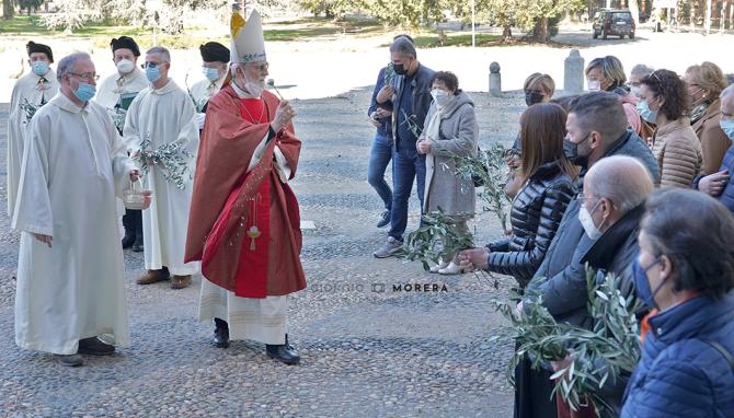 Domenica delle Palme