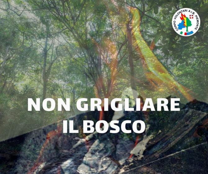 non grigliare il bosco