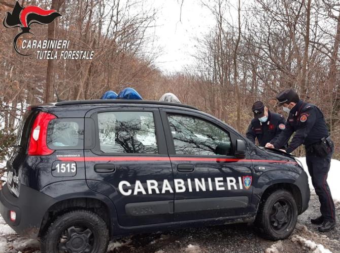 I carabinieri della stazione Carabinieri Forestale di Varallo Sesia