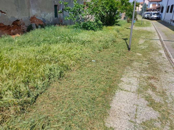 Vercelli, Cappuccini: la pista ciclabile dopo il taglio dell'erba
