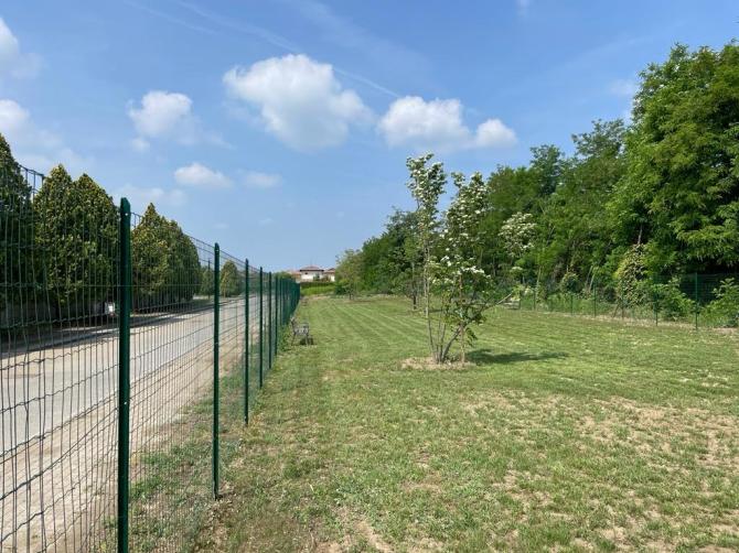 Gattinara sgambamento