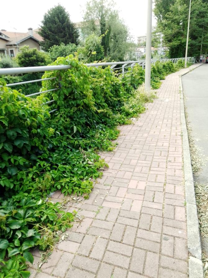 Via Luppi
