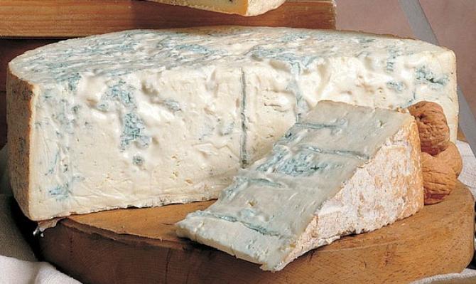 Gorgonzola