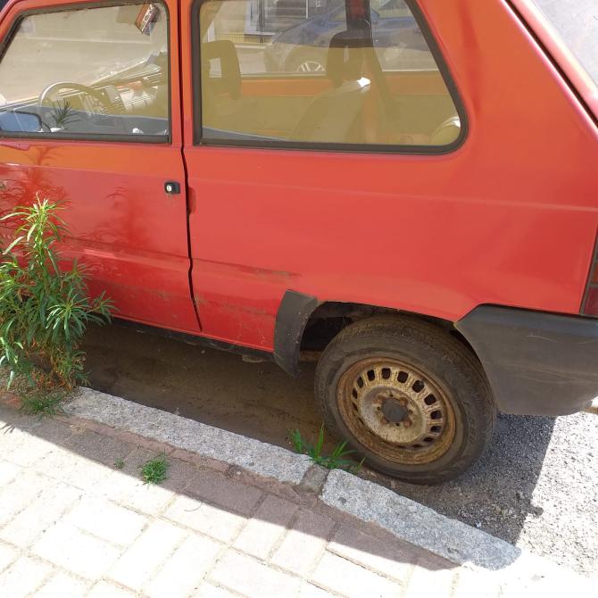 Panda via Boccaccio