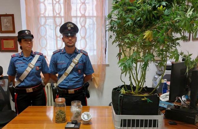 Carabinieri Vercelli