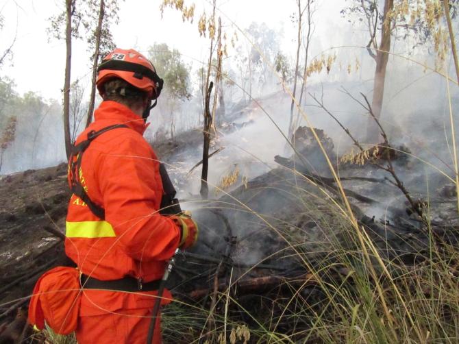 Corpo anti incendi boschivi