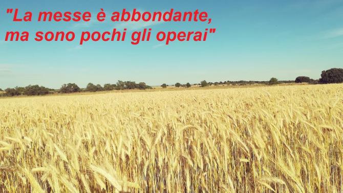 Campo di grano