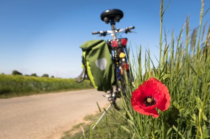 Biciclettata
