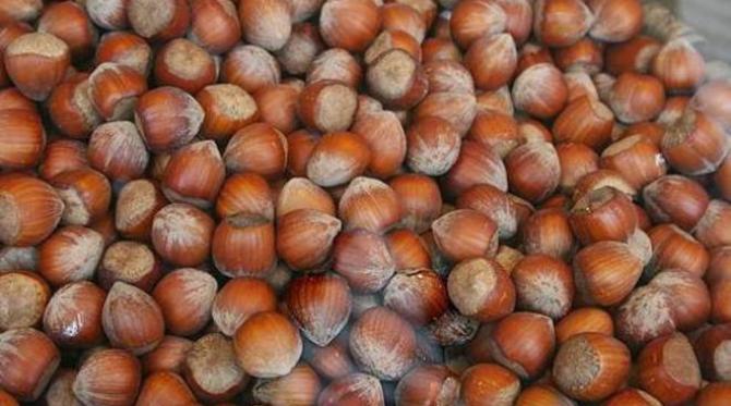 nocciole del Piemonte
