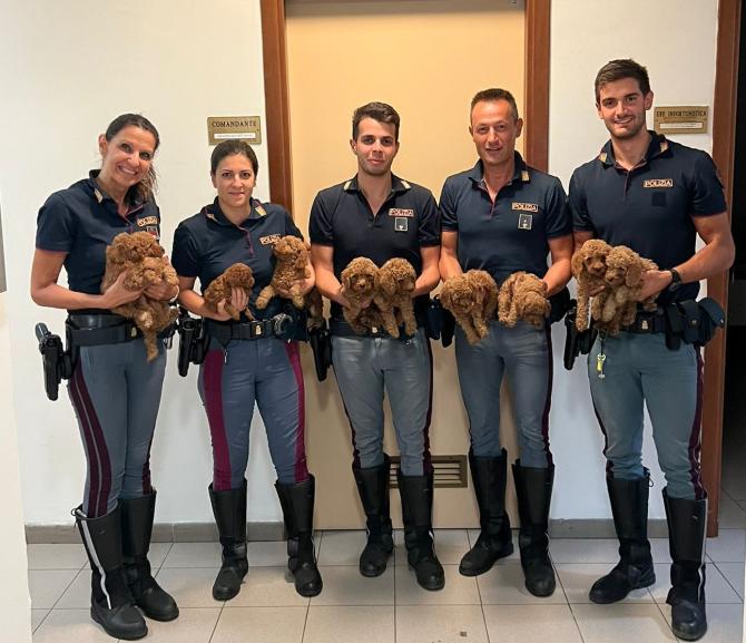 Polizia di Arezzo