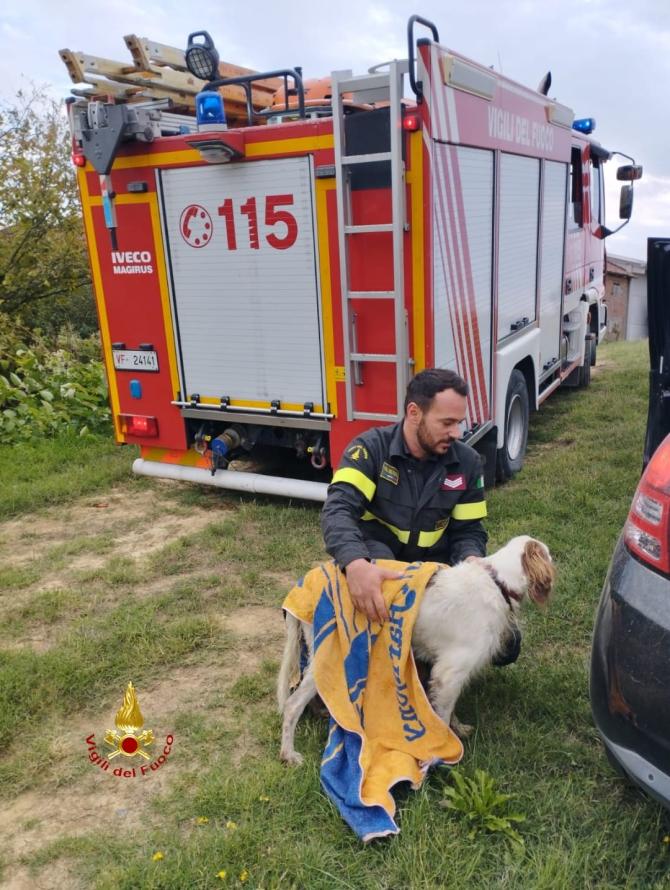 Cane salvato a Buronzo 