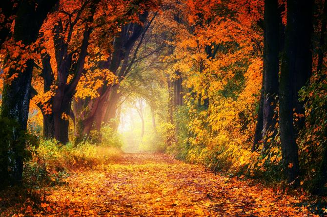 Equinozio autunno