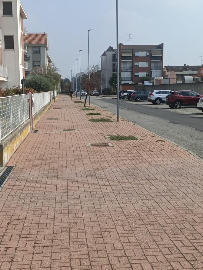 Vercelli
