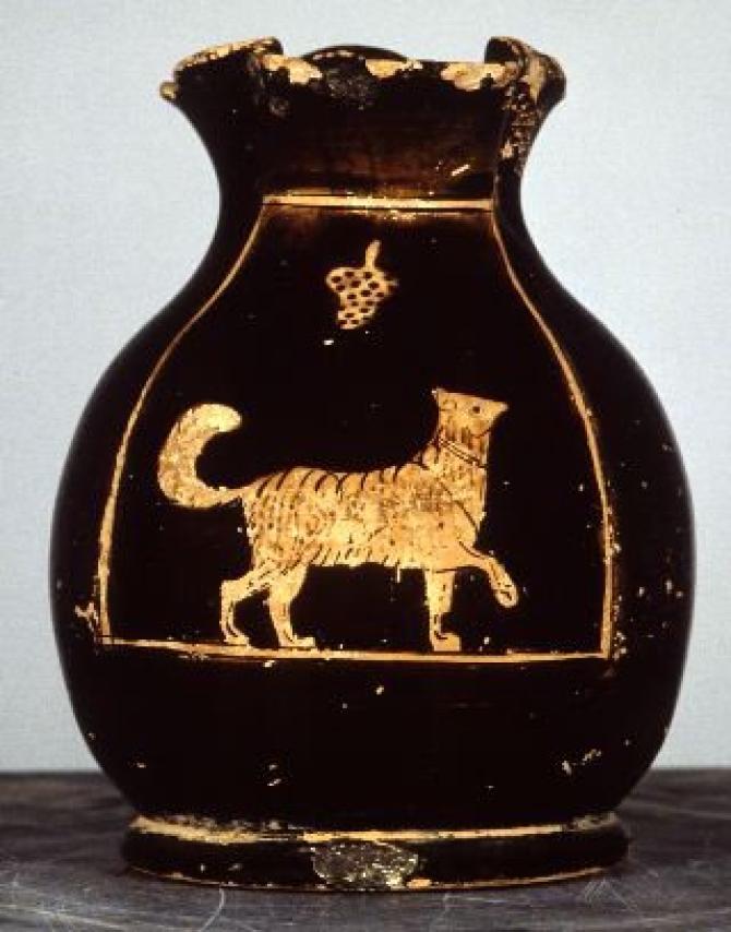 Gaso Gatto
