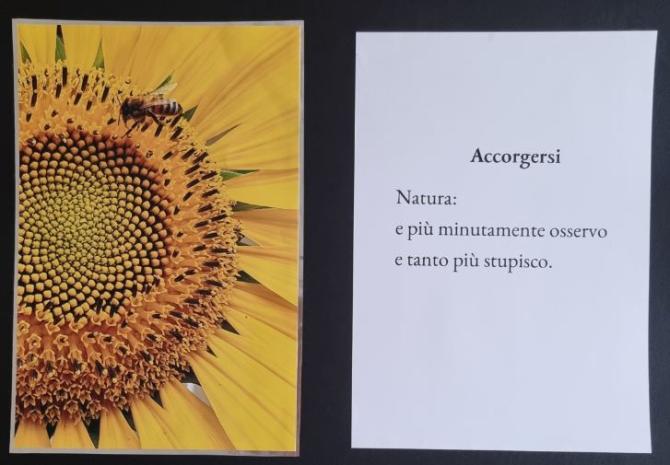 Borgosesia Mostra