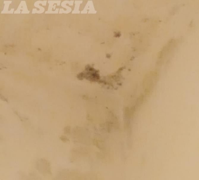 Vercelli corso Rigola