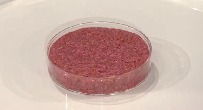 Carne sintetica (Da World Economic Forum, CC BY 3.0, attraverso Wikimedia Commons)