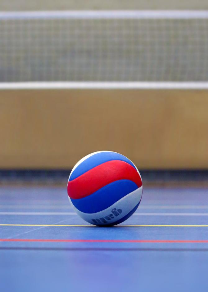 Pallavolo volley