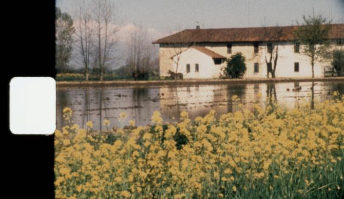 Tearra+Acqua Borgogna