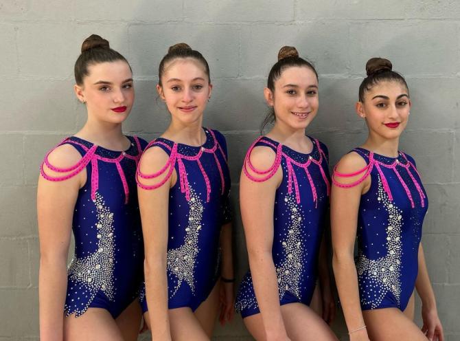 Libertas ginnastica