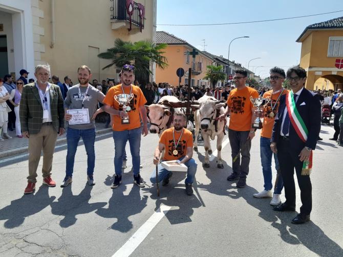 Caresana: una corsa dei buoi a due