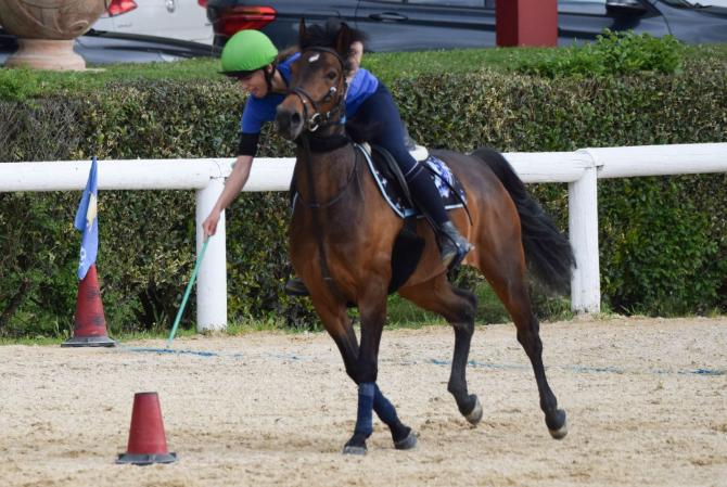 Equitazione J&G La scuderia