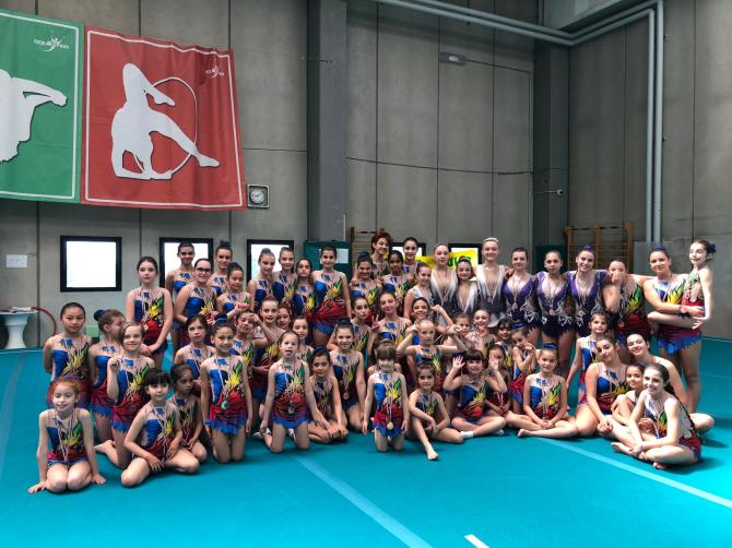 Artacrobatica Vercelli