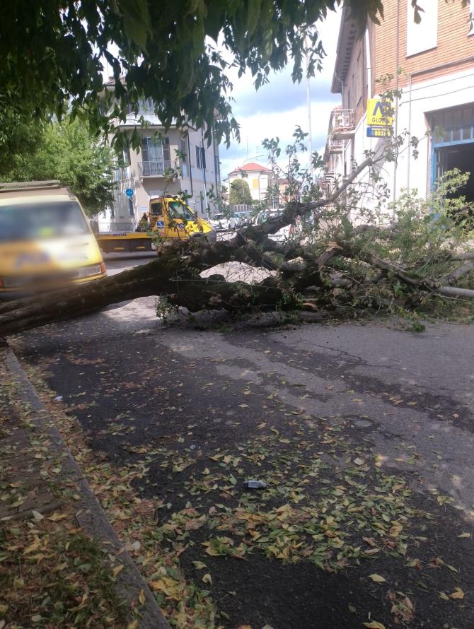 Vercelli: acero si abbatte fra due auto