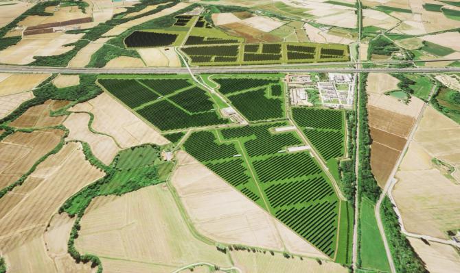 Parco agrivoltaico
