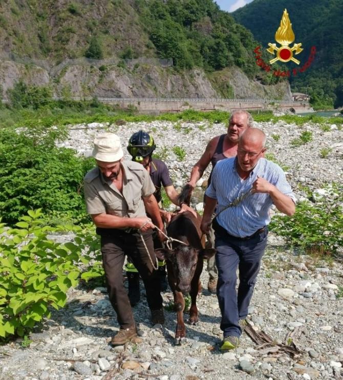 Vigili del fuoco