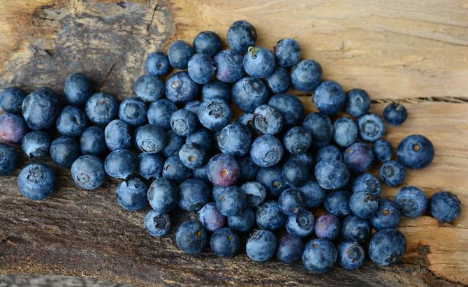Moncrivello: al via la Nona edizione della Sagra del Mirtillo
