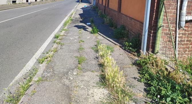 Via Francesco Donato