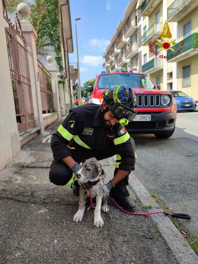 Vigili del fuoco Vercelli
