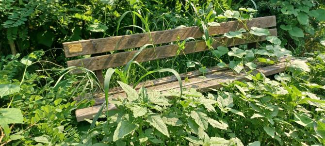 Trino parco donne