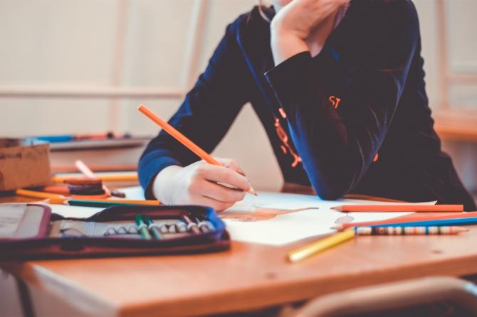 Scuola alunno