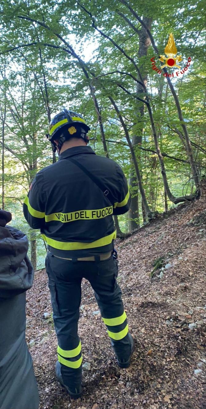 Vigili del fuoco 