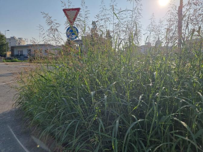 Viale Torricelli