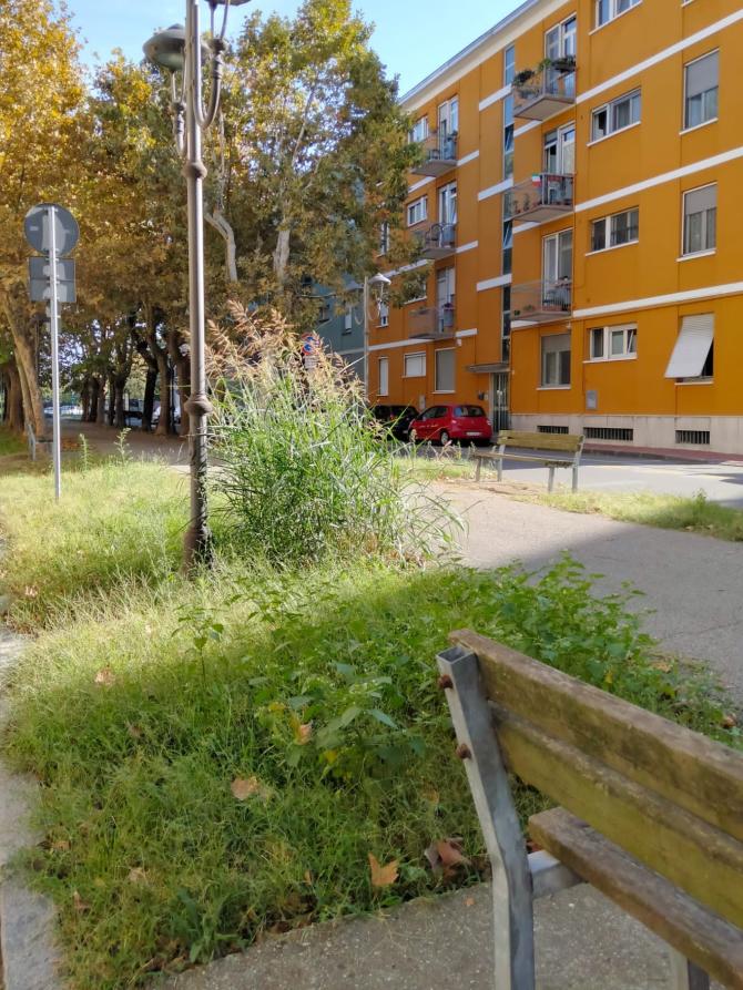 Viale Volta