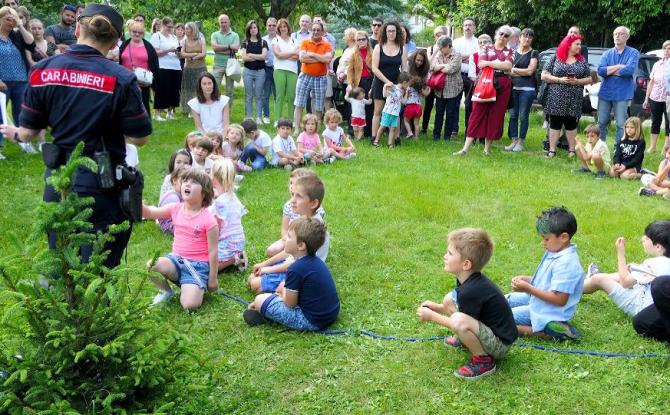 Festa dell'albero