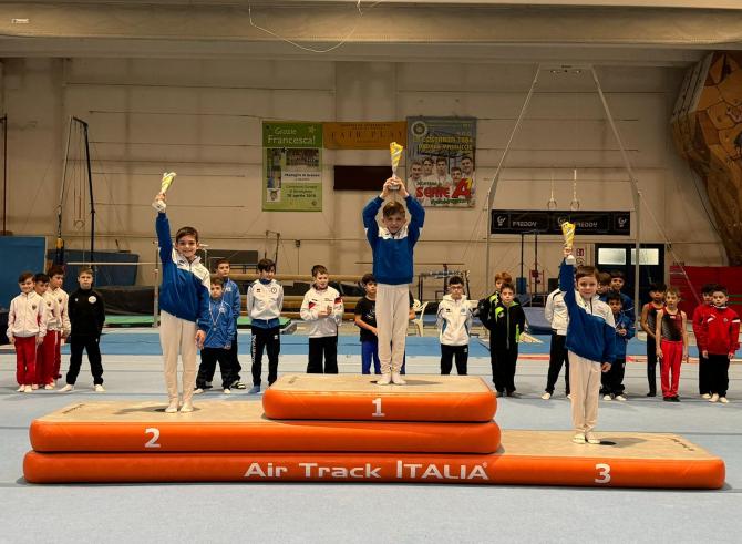 Libertas ginnastica Vercelli
