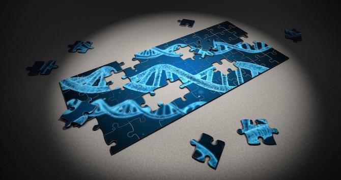 Ricostruito il volto di un imperatore cinese grazie al Dna
