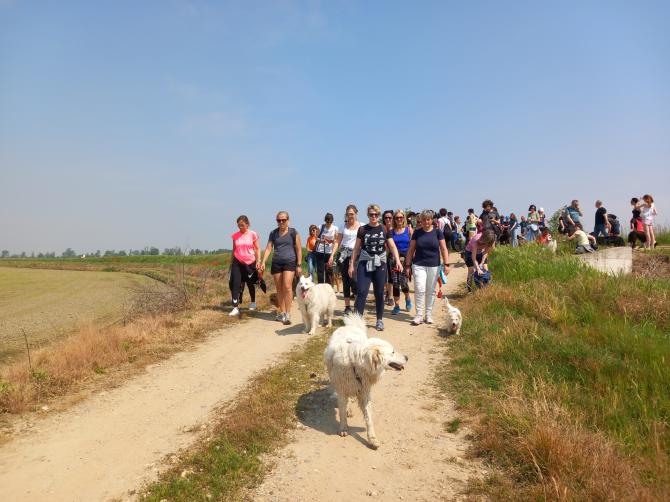 Col mio cane tra le risaie per fare del bene (FOTO)