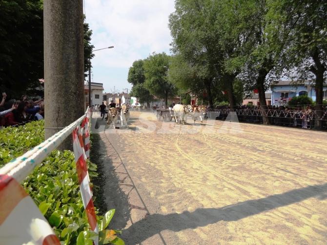 Asigliano: un “esercito” di persone per la Patronale
