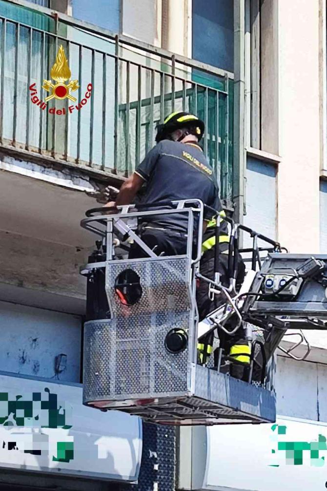 Vigili del fuoco