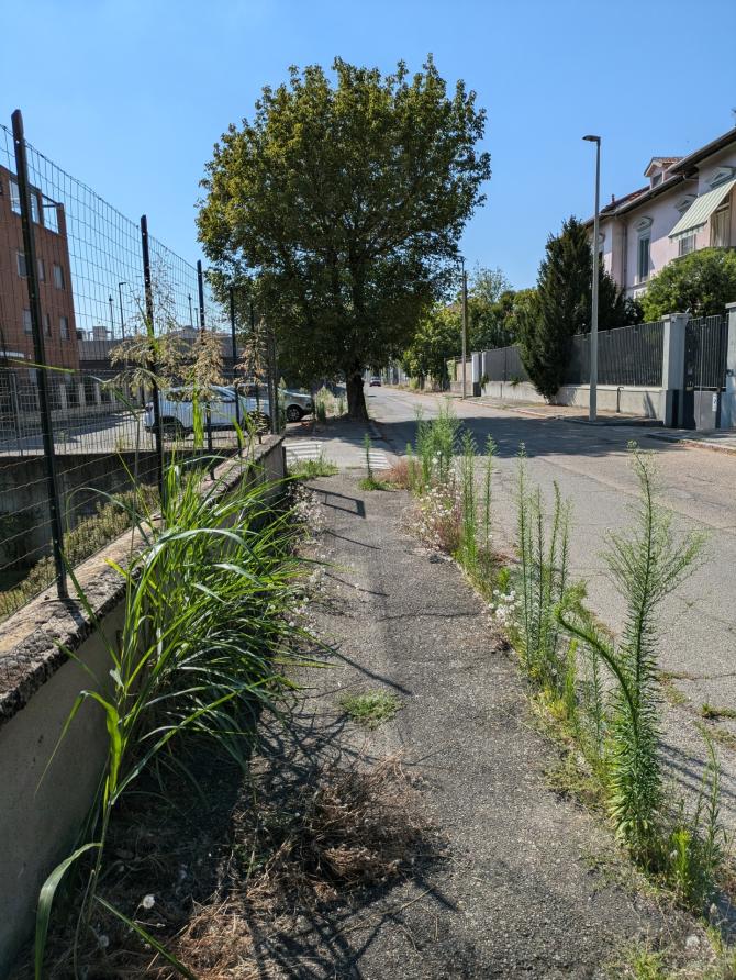 Via Meucci